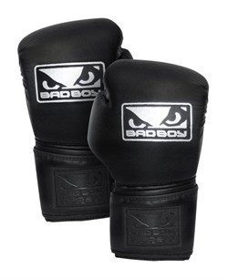 Перчатки боксерские Bad Boy Pro Series 2.0 Training Boxing Gloves - фото 7910