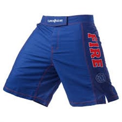 Шорты ММА Clinch Gear Pro Series Short- Fire - фото 8307