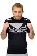 Футболка Bad Boy Walk In Grey