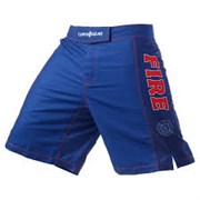 Шорты ММА Clinch Gear Pro Series Short- Fire