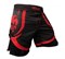 Шорты Venum Electron 2.0 Fightshorts-Red Devil - перед правым боком