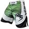 Шорты ММА Venum Amazonia 3.0 Green - фото 7744