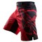 Шорты ММА Hayabusa Chikara Recast Red - фото 8040
